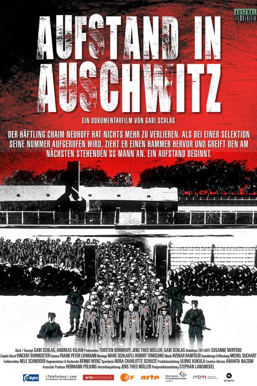 Filmplakat Aufstand in Auschwitz